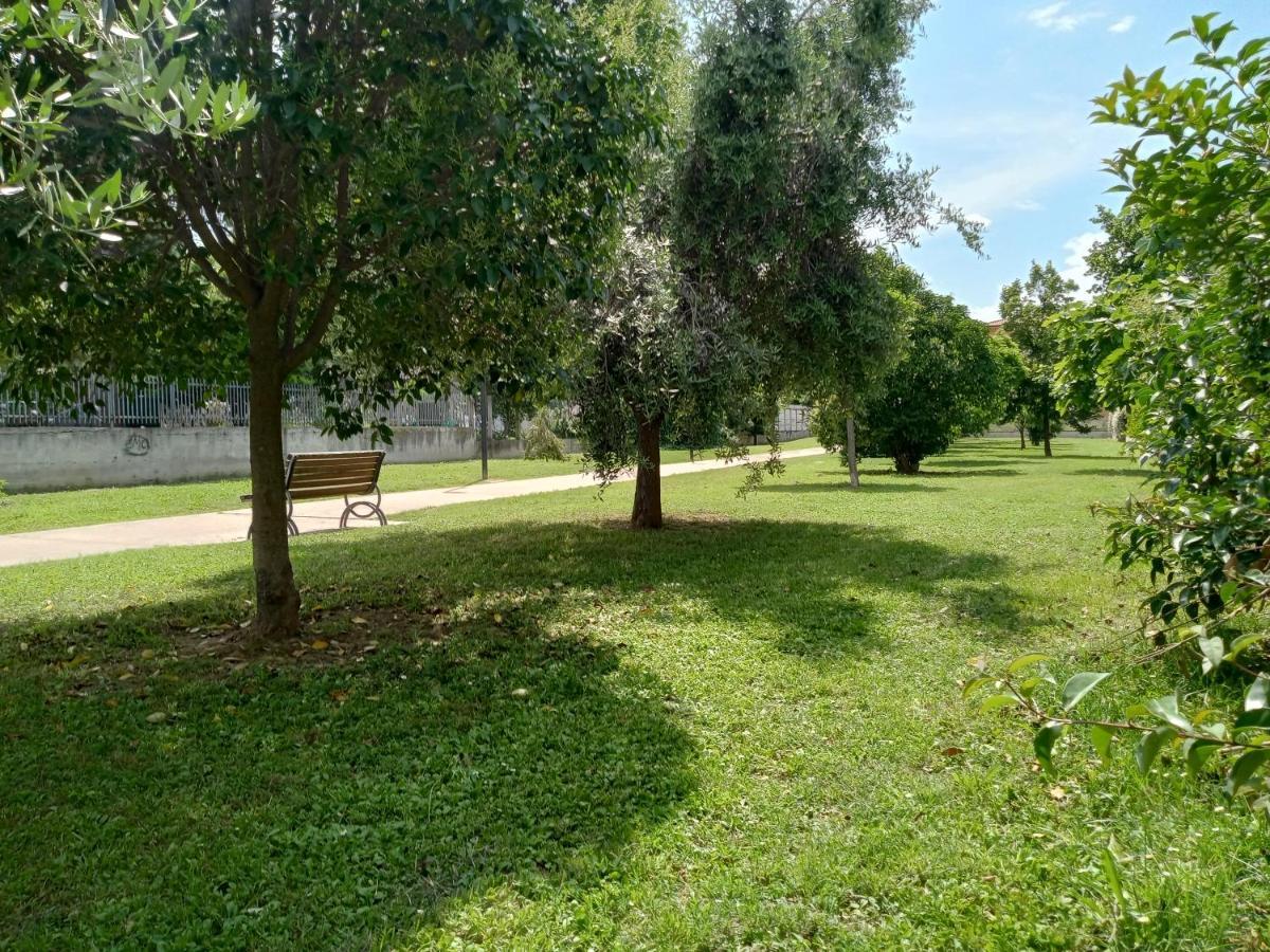 Casa Giardino Apartment San Benedetto del Tronto Exterior foto