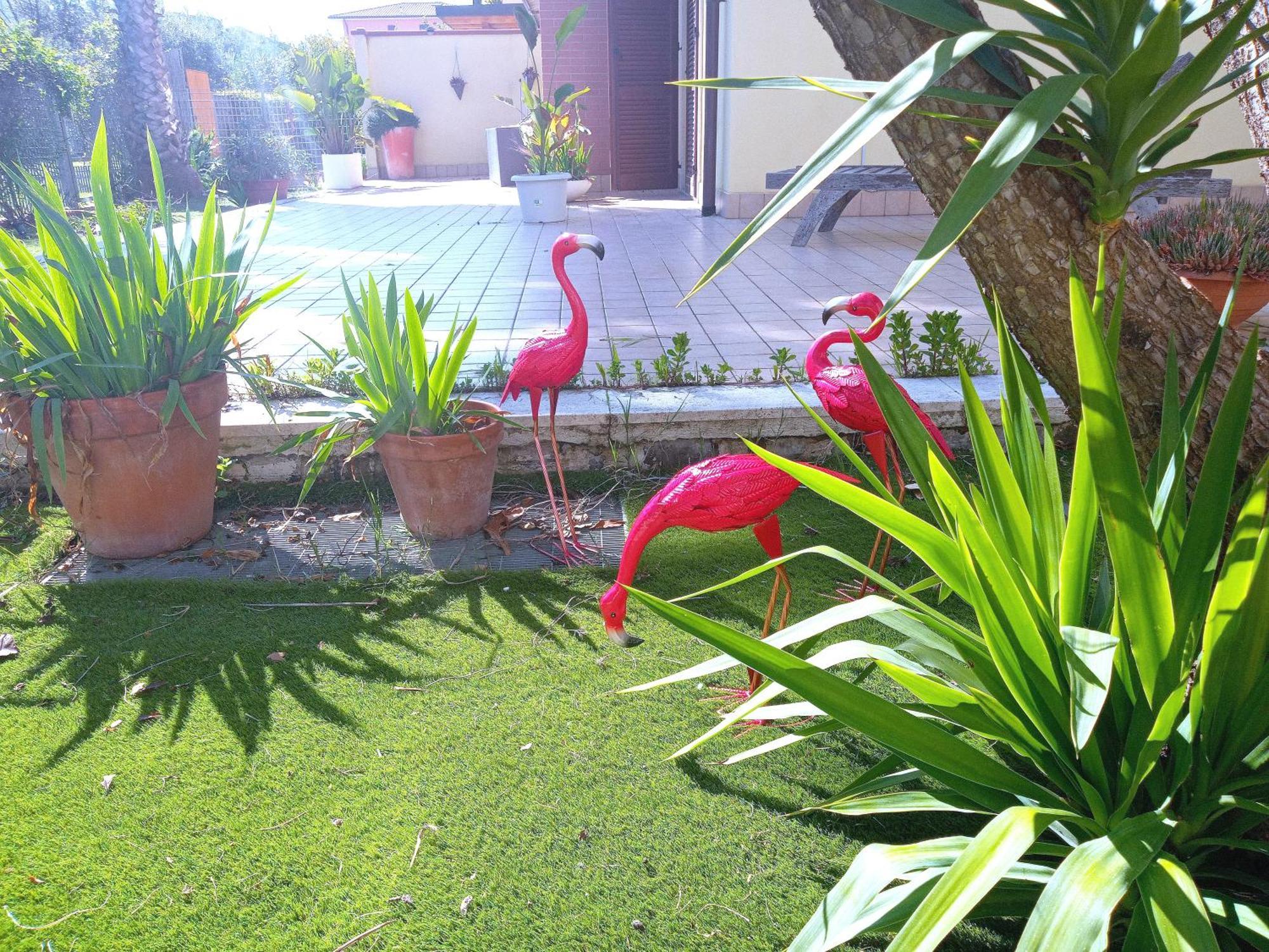 Casa Giardino Apartment San Benedetto del Tronto Exterior foto